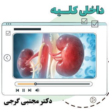 آموزش ویدیویی داخلی کلیه
